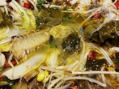 -凯荟·不止酸菜鱼(广州鸿德国际店)