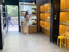 -欣宠猫屋·矮脚拿破仑·蓝金金渐层