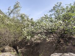 -秦岭终南山世界地质公园翠华山景区