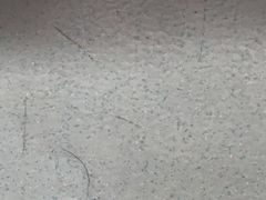 -东单体育中心