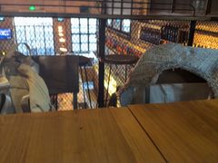 -北平机器Peiping Machine(方家店)