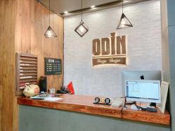 -ODIN 奥丁形象设计 