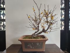 -无锡梅园公园