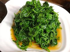 酒香金花菜-协和菜馆(凤凰街店)