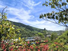 -大围山国家森林公园