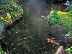 -Chom Cafe and Restaurant