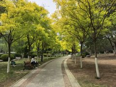 -南翠屏公园