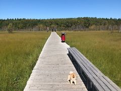 -塞罕坝国家级自然保护区