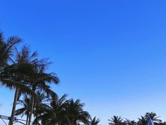 -玫瑰海岸文化旅游度假区