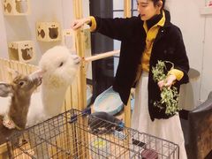 -猫色咖啡·猫咖