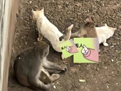 -昆明动物园