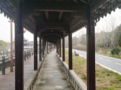 -八大山人梅湖景区