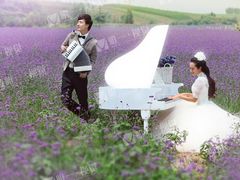 -曲江薰衣草庄园