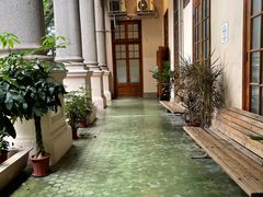 -香港大学