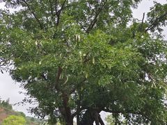 -龙洞风景区-藏龙涧