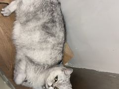 -Oasis绿洲银饰珍珠手作diy(壹方城店)