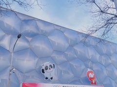 -水立方嬉水乐园