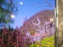 -麦积山温泉
