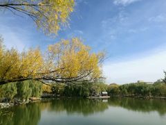 -青城公园