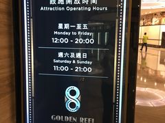 -影汇之星8字形摩天轮