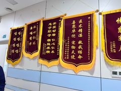 -中农国际动物医院24小时·猫科·骨科·急重症中心
