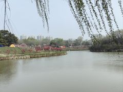 -塘沽森林公园