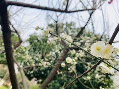 -西北湖绿化广场