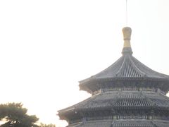 -中国唐苑