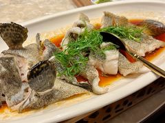 -明湖楼·经典鲁菜(大明湖店)