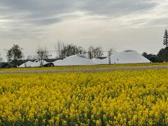 -中国天府农业博览园