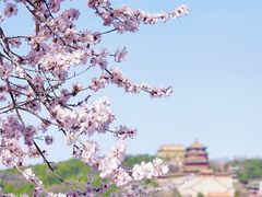 -颐和园
