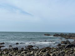 -龙头岩(Dragon Head Rock)
