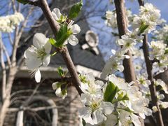 -天毓山庄·餐厅