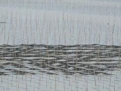-北岐滩涂
