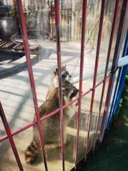 -萌宠亲子动物乐园(槐房万达店)