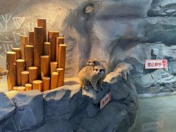 -Zoolung Zoolung动物主题公园(海信广场店)