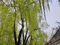 -玲珑塔公园