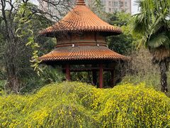 -西苑公园