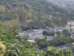 -上海佘山国家森林公园东门地面停车场