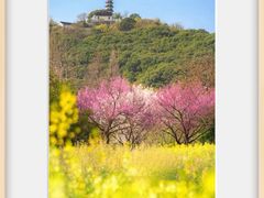 -苏州上方山国家森林公园