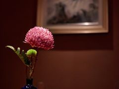 -景忆川·川粤菜