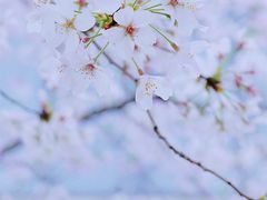 -龙美术馆(西岸馆)