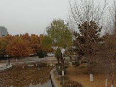 -康庄公园