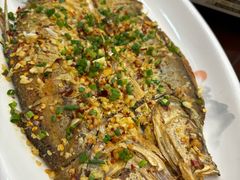 -河洲甲鱼(锦都店)