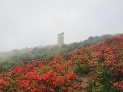 -瑞安圣井山景区