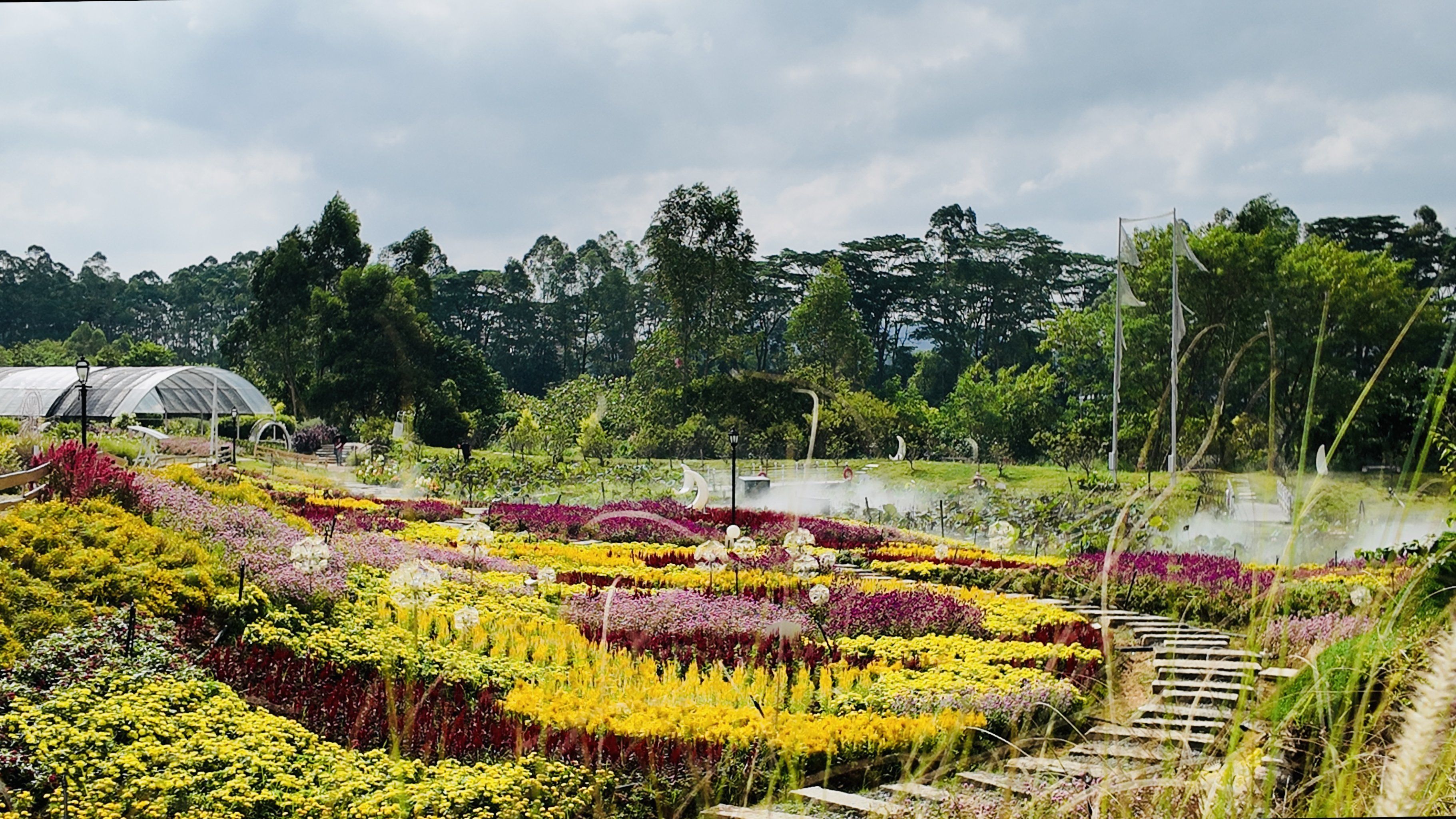 香遇百花园一个以花卉,团建,露营主题的景区,里面花的种类拍照非常出