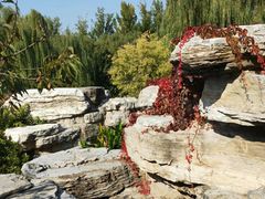 -燕郊植物园