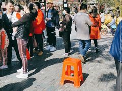 -合肥滨湖国家森林公园