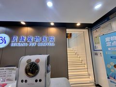 -贝康宠物医院·犬猫全科·小动物特色诊疗中心(东环路店)
