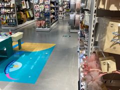 -NOME(太阳百货店)